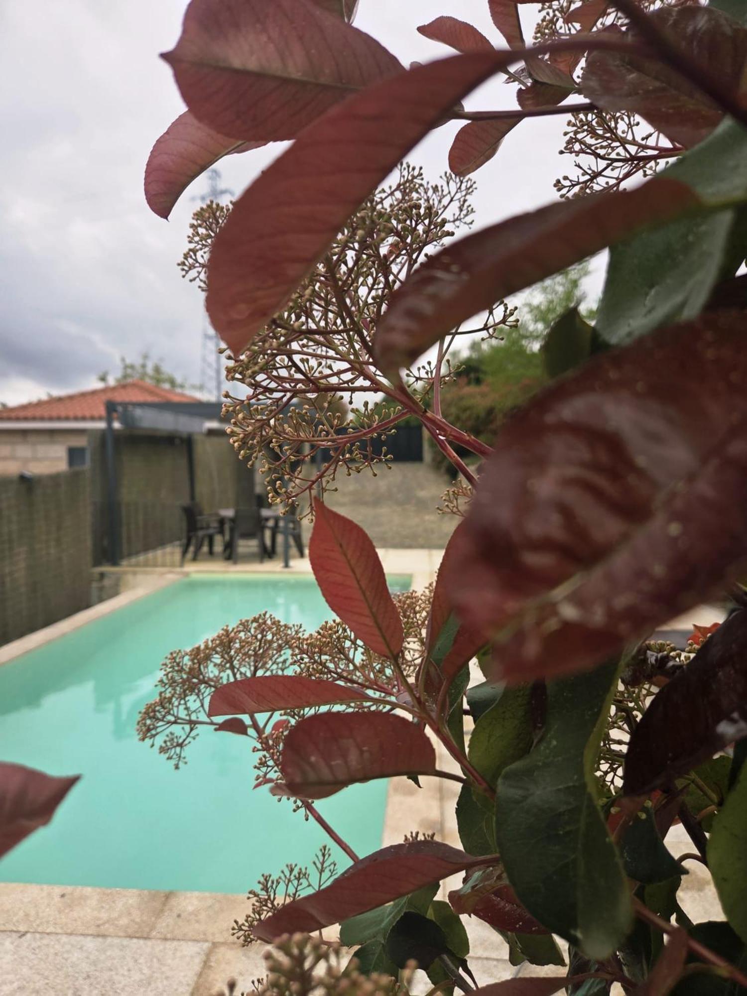 Casa Fraga Do Suadouro Campo do Geres